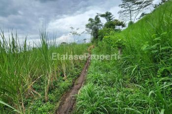 Dijual Tanah Belakang Binus Araya Malang