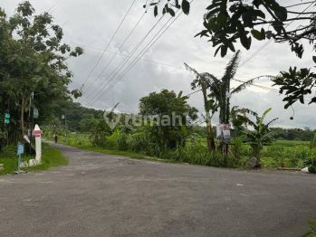 Tanah Pekarangan Sleman, Harga 1 Juta an Tepi Jalan