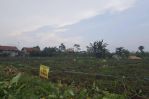 thumbnail-tanah-kavling-murah-80-jutaan-bisa-di-cicicl-tanjungsari-sumedang-4