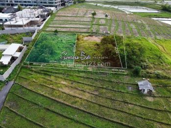 Tanah Murah di Umalas Kerobokan , View Sawah