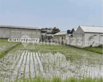 Tanah Lokasi Strategis Di Jl Pameuntasan Kutawaringin Bandung