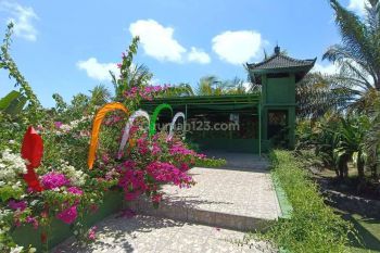 Villa For Rent Good Location For Long Term 30 Years