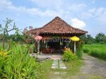 thumbnail-runag-usaha-murah-cocok-untk-resto-dan-cafe-view-sawah-area-kalasan-1