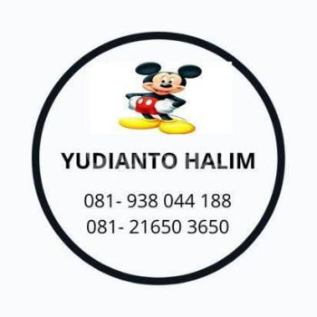 Disewakan apartemen puncak CBD 2 BR full furnish biasa ( bukan furnish desain )