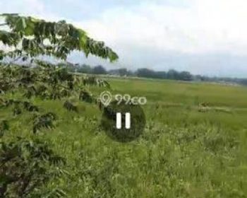 Dijual tanah sawah pertanian Bareng, Jombang