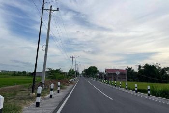 Dijual Tanah Jogja 1 Jt-an, 4 Menit Bandara YIA
