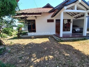 Rumah asri luas di Ngesrep Tembalang Semarang Selatan