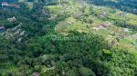 thumbnail-dijual-tanah-kenderan-tegalalang-view-jungle-lembah-dan-sungai-3