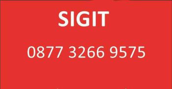 Tanah Kebun Pohon Durian & Alpukat Di Kerjo Karanganyar (SG)