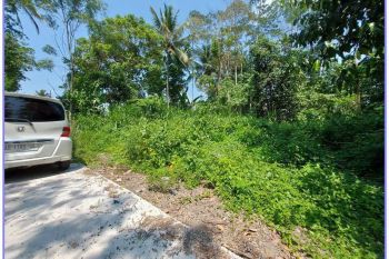 Jual Tanah Jogja Dekat Kantor Kelurahan Dekat Jl Grogolan