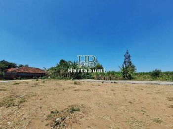 Tanah Murah Kediri SHM Per-Unit Dekat Terminal Tamanan