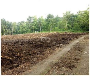 Tanah Kawasan Industri Sentolo Kulonprogo
