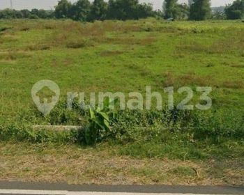 Raya Pantura , Raya Babat Tuban