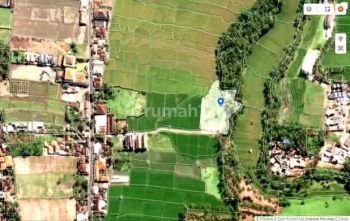 Tanah Istimewa View Sungai Dikelilingi Sawah Lod Tunduh Ubud Bali