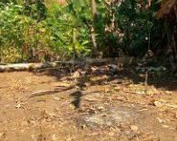 Bu Tanah Murah Kavling Bri Samping Smk Madani Depok
