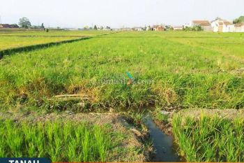 Tanah Super Luas di Jl Sidodadi Kebonangung Kab Malang