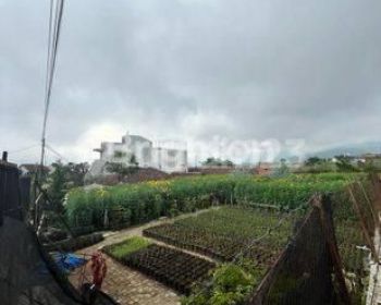 TANAH NOL JALAN PURWOSENJATA