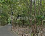 thumbnail-tanah-jalan-6-utama-pantai-balangan-jimbaran-badung-bali-5