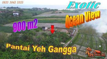 Dekat Pantai Yeh Gangga 9 Are Tanah Kebun Siap Bangun