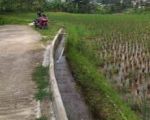 thumbnail-tanah-sawah-rata-untuk-villagazebo-view-lepas-ke-gunung-4