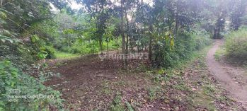 Tanah Dekat Pasar Cebongan di Seyegan Sleman Jogja Siap Bangun