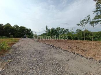 Tanah Murah Dekat Kampus Umy Jogja, Lingkungan Perumahan