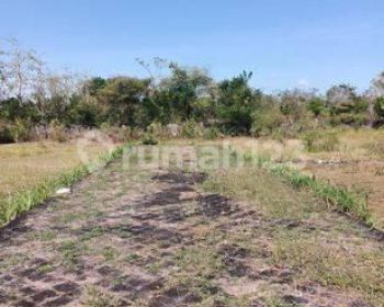Dijual Tanah Murah di Jalan Utama Pantai Balangan