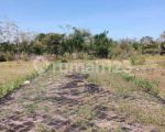 thumbnail-dijual-tanah-murah-di-jalan-utama-pantai-balangan-0