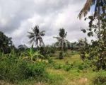 thumbnail-tanah-los-sungai-ubud-gianyar-6