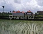 thumbnail-tanah-los-sungai-ubud-gianyar-8