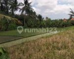 thumbnail-tanah-los-sungai-ubud-gianyar-2