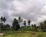 thumbnail-tanah-los-sungai-ubud-gianyar-4