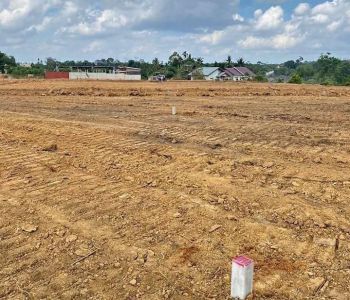 Tanah Kebun 9 15 Jutaan SHM