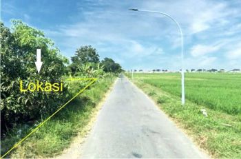 Tanah Tepi Jalan Aspal, 900 an Meter Jl. Jatibarang slawi, Tegal