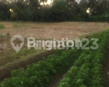 TANAH DI MENGWI BADUNG LOKASI TIMUR TAMAN AYU