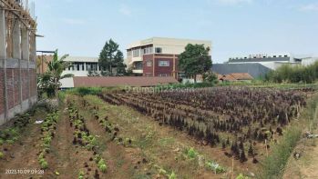 Tanah Potensial dekat kampus Stikes Rajawali Cihanjuang Bandung