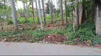 Tanah Kebun Cocok Untuk Home Industri di Serdang Wetan