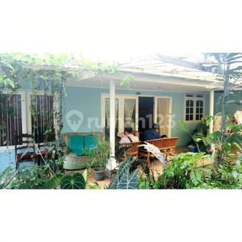 MURAH rumah lama asri LT 296m² gandul cinere