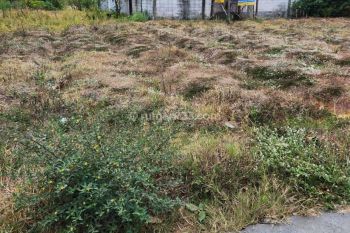 Dijual Tanah 300 Jutaan Pakis Malang Dekat Perum Springhill