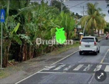 Tanah seluas 145 are berlokasi di desa Gerokgak Kecamatan Gerokgak Kabupaten