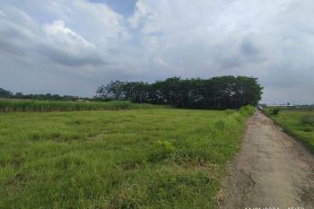 Dijual Tanah Bojong Pekalongan Lokasi 5 Menit RS Ki Ageng Sedayu, Free AJB &