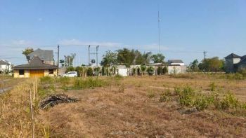 Tanah Jogja Kavling Dekat Sch, Pemda Sleman Mulai 4 Jutaan m2