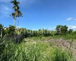 thumbnail-good-deal-land-for-longterm-lease-at-bidadari-seminyak-6