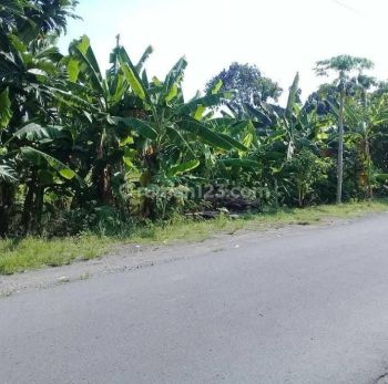 Dijual Lahan Zona Merah Lokasi Kebakkramat Luas 1,2 Hektar