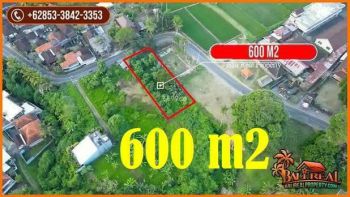 Potensial, 6.0 Are di Sukawati Pinggir Jalan Posisi Tanah Hook