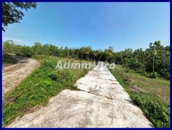 Tanah Murah Dekat Polres Kulon Progo Serifikat Komplit