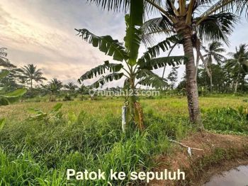 Tanah Murah di Pinggir Jalan Raya Pantai Carita