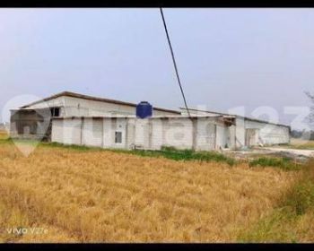 Di jual peternakkan ayam di kec gunung kaler tangerang