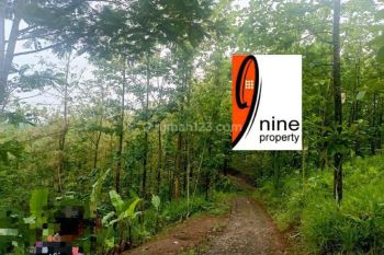 Tanah Siap Bangun Di Lokasi Strategis, Dekat Pantai, Sukabumi