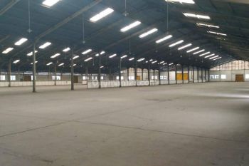 Sewa Gudang Sidoarjo, Barang Langka